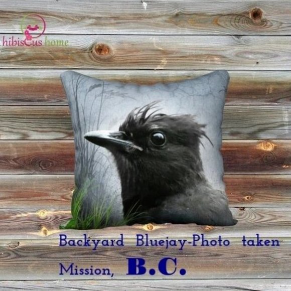 THROW PILLOW WITH REMOVABLE COVER -STELLAR JAY HAVING A BAD HAIR DAY - Picture 3 of 3